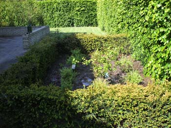 DSCF0414